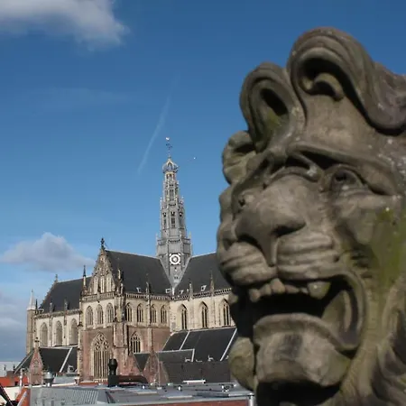 De Witte Olyphant Appartement Haarlem