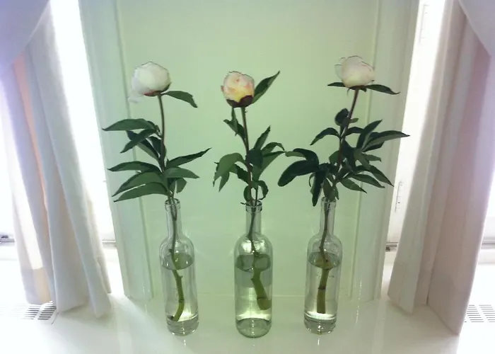 De Witte Olyphant Appartement