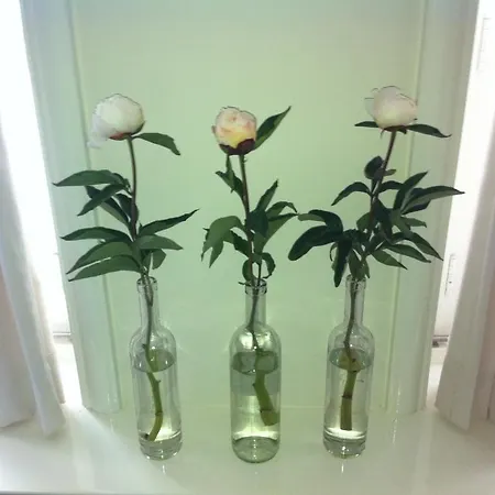 De Witte Olyphant アパート